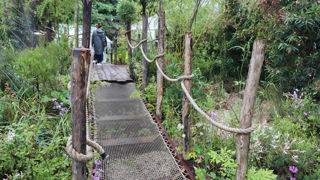 Jardins, Jardin 2024 : un hommage aux plantes rhéophytes