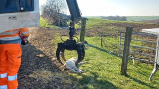Le ministère de l'Agriculture est intervenu auprès de l'entreprise Atemax pour obtenir une reprise rapide de la collecte des cadavres d'animaux en ferme. Le ministère de l'Agriculture est intervenu auprès de l'entreprise Atemax pour obtenir une reprise rapide de la collecte des cadavres d'animaux en ferme.