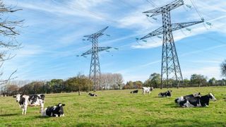 Le ministère de l'agriculture a enquêté les éleveurs situés à moins de 2 km d'installations électriques, d'antennes ou éoliennes. Le ministère de l'agriculture a enquêté les éleveurs situés à moins de 2 km d'installations électriques, d'antennes ou éoliennes.