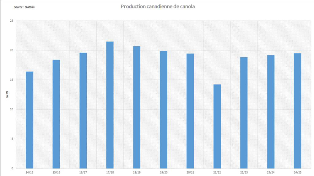 StatCan annonce une production élevée de canola.