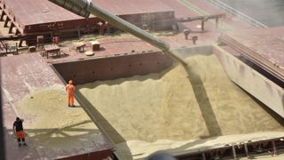 Les exportations françaises de blé tendre vers les pays membres de l'Union européenne seront plus préservées que celles vers les pays tiers, selon Argus Media. Les exportations françaises de blé tendre vers les pays membres de l'Union européenne seront plus préservées que celles vers les pays tiers, selon Argus Media.