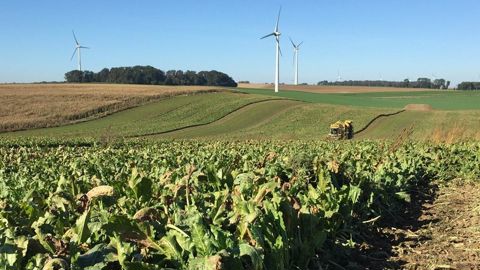 Deleplanque/Strube possède notamment une expertise reconnue dans le domaine des betteraves sucrières. Deleplanque/Strube possède notamment une expertise reconnue dans le domaine des betteraves sucrières.