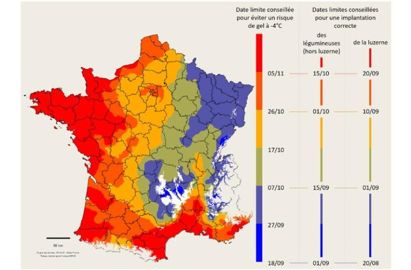 Date de semis d'étéautomne