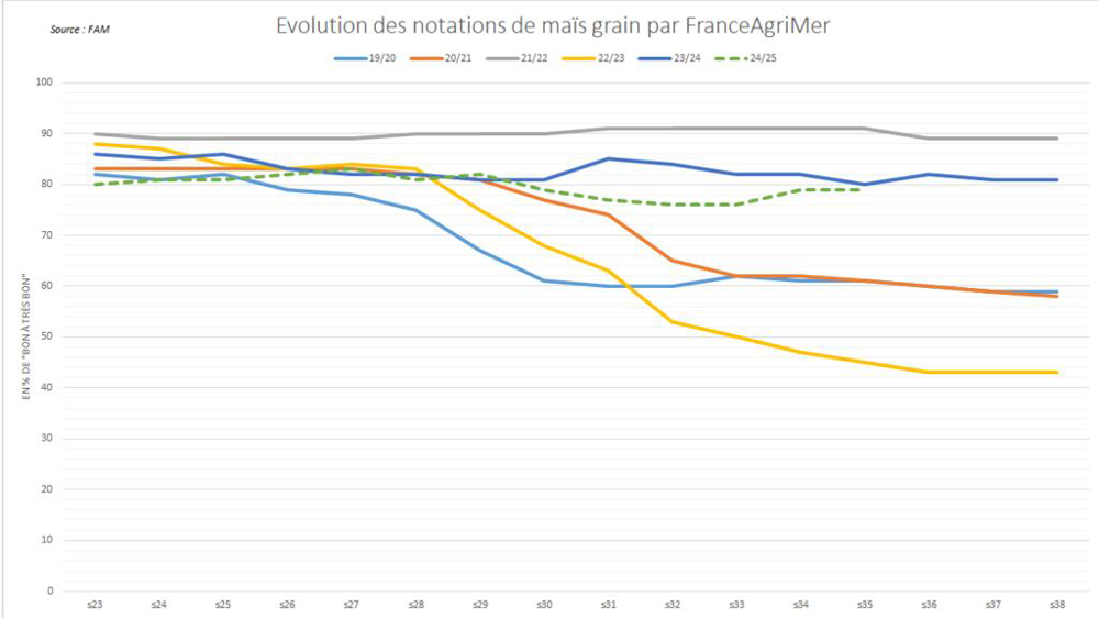 Les notations de maïs "bon à très bon" restent élevées.