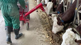 La brouette distributrice d'ECS utlise l'identification faciale pour reconnaître chaque vache à l'auge et lui distribuer la quantité adaptée de concentré. La brouette distributrice d'ECS utlise l'identification faciale pour reconnaître chaque vache à l'auge et lui distribuer la quantité adaptée de concentré.
