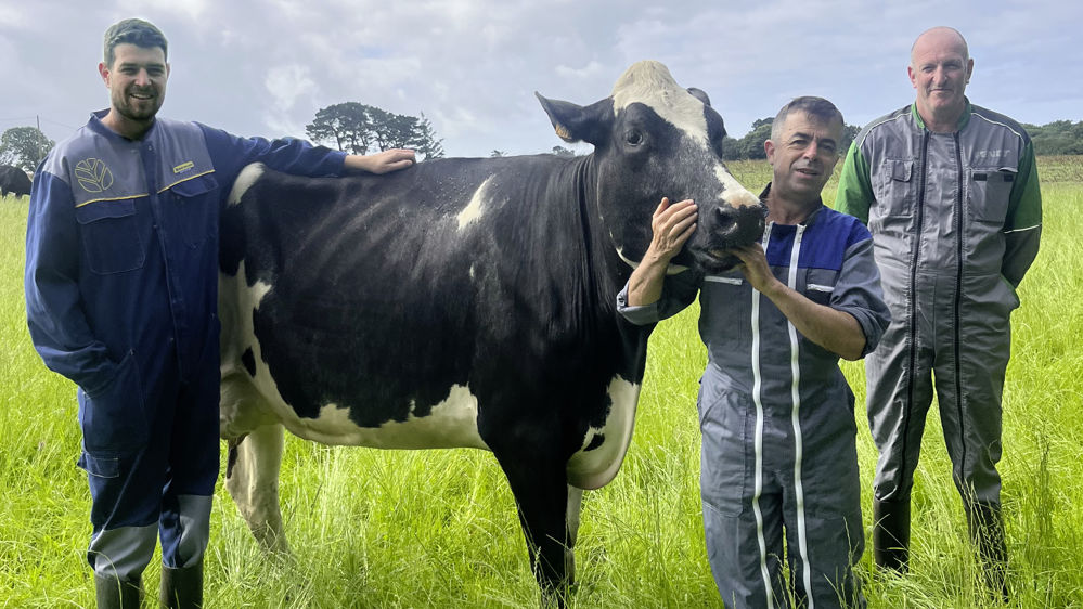 membres du Gaec de Kroaz Ru dans le Finstère membres du Gaec de Kroaz Ru dans le Finstère