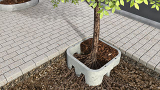 Alkern : un guide racinaire pour les tranchées de Stochkolm 