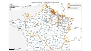 Près de 2 000 foyers de FCO-3 confirmés en France Près de 2 000 foyers de FCO-3 confirmés en France