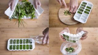 Pour conserver des herbes aromatiques, il est possible de les mettre au congélateur. Pour conserver des herbes aromatiques, il est possible de les mettre au congélateur.
