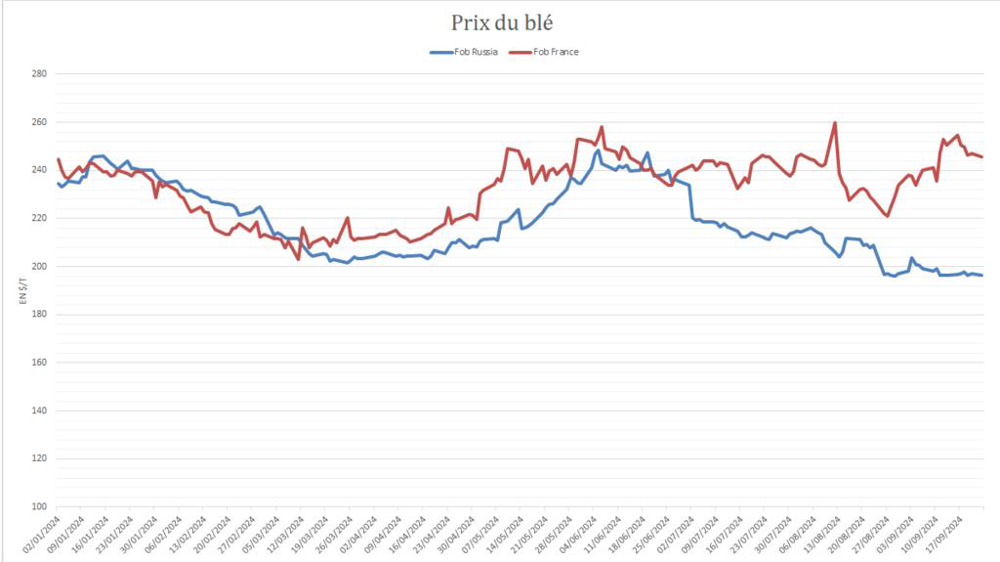 Le blé russe gagne en compétitivité.