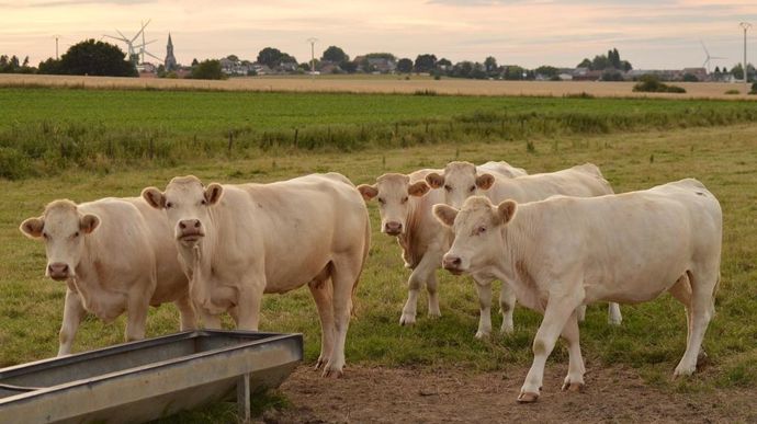 « Le méthane est un gaz à l’effet de serre particulièrement marqué. Il est essentiellement d’origine entérique, ce qui explique les efforts de réduction que la société demande aux éleveurs », décrypte Mathieu Diribarne, directeur scientifique d’Apis-Gene.