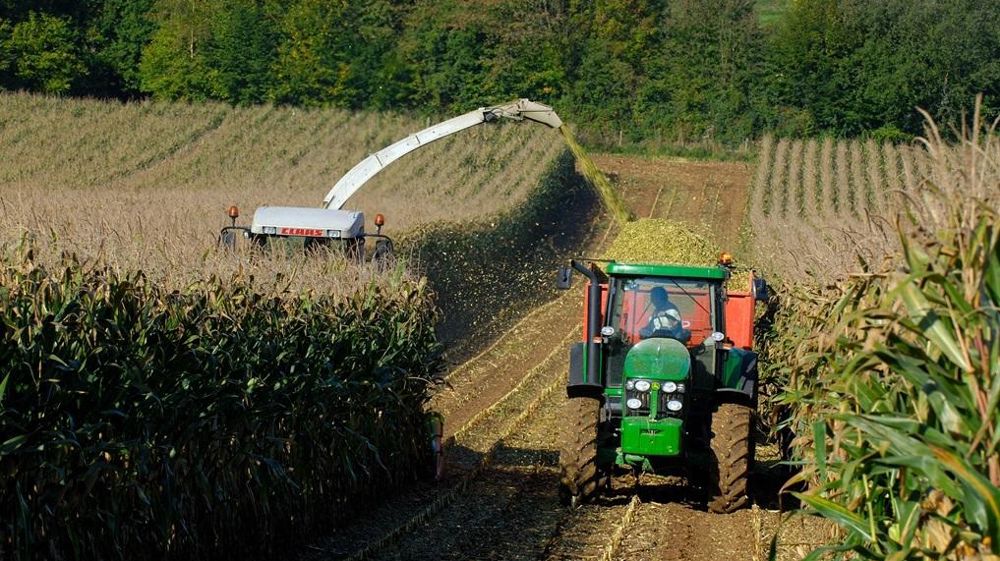 Ensilage maïs Ensilage maïs