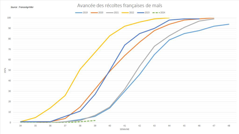 Les récoltes de maïs en France peinent à démarrer.