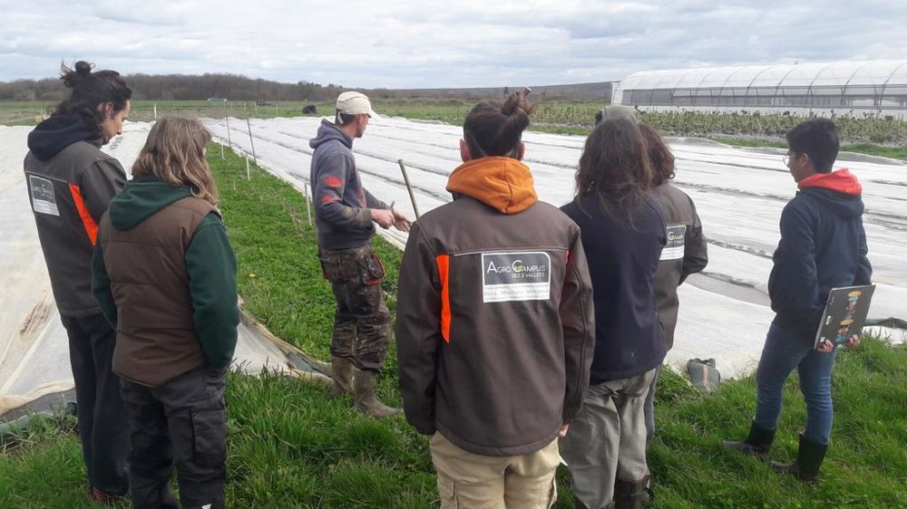 « L'agroécologie, levier d’innovation » sera le fil conducteur d’une journée technique et d'un salon de démonstration. Photo : visite d’une exploitation AB lors d’une journée interprofessionnelle.