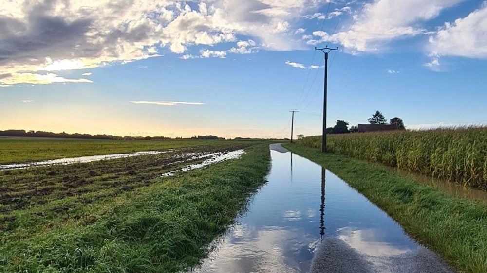 Champs sous l'eau
