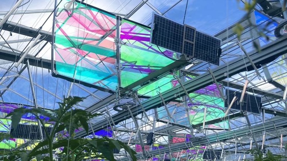Agriphotovoltaïsme optimisé par la filtration spectrale Agriphotovoltaïsme optimisé par la filtration spectrale