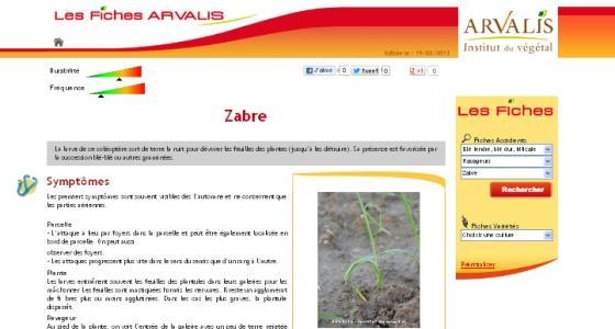 Fiche accident pour le zabre.