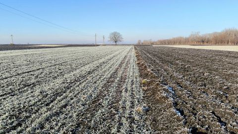 L'hiver 2024-2025 s'annonce plutôt sec selon MeteoNews.