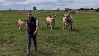 Benjamin Lacroix s’installera sur l’exploitation familiale dans les Vosges au début de 2025, et continuera à présenter des aubracs en concours. Benjamin Lacroix s’installera sur l’exploitation familiale dans les Vosges au début de 2025, et continuera à présenter des aubracs en concours.