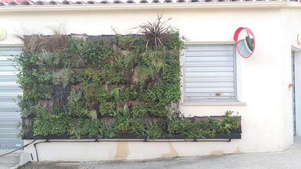 Un premier mur végétalisé (système Vertiwall) a été installé en extérieur, à l'entrée du lycée agricole par les première bac pro AP.