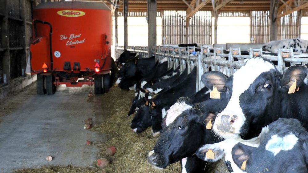 L'alimentation est le deuxième poste le plus chronophage en élevage laitier derrière la traite (sauf en cas de robot).