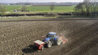 Avec des hivers plus doux et des gels parfois plus tardifs, la date et la profondeur de semis des protéagineux d'hiver doivent évoluer. Avec des hivers plus doux et des gels parfois plus tardifs, la date et la profondeur de semis des protéagineux d'hiver doivent évoluer.