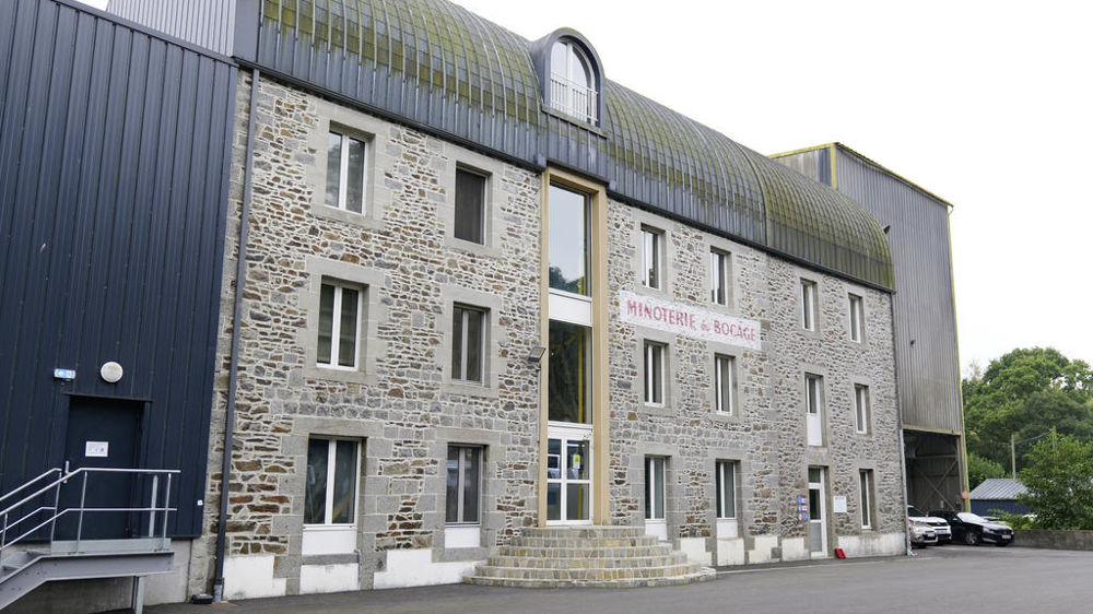 La Minoterie du Bocage veut relancer la culture de céréales en Bretagne.