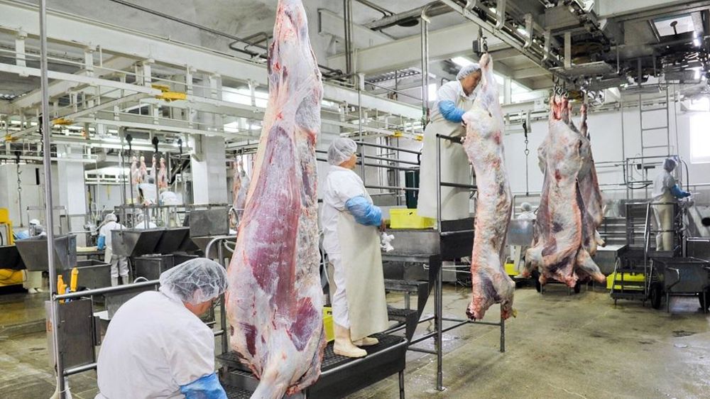 Travail de découpe en abattoir.