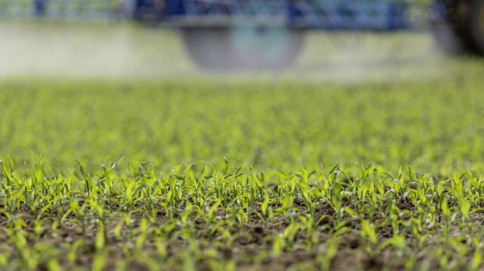 Le segment des herbicides de postlevée reste important, avec 75 % des surfaces traitées.