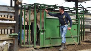Bovin viande : « une ferme sans balance, c’est comme une voiture sans compteur » Bovin viande : « une ferme sans balance, c’est comme une voiture sans compteur »