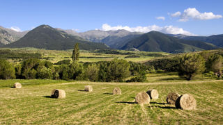 Les projets qui peuvent prétendre à l'aide doivent s'inscrire dans une démarche collective de filière, dans laquelle l'amont agricole doit être représenté. (photo d'illustration, Pyrénées-Orientales) Les projets qui peuvent prétendre à l'aide doivent s'inscrire dans une démarche collective de filière, dans laquelle l'amont agricole doit être représenté. (photo d'illustration, Pyrénées-Orientales)