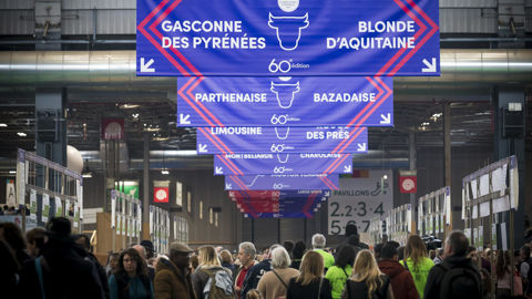 Le organisateurs attendent plus de 600 000 visiteurs pour la prochaine édition du Salon de l'agriculture, qui se tiendra du 22 février au 2 mars 2025. Le organisateurs attendent plus de 600 000 visiteurs pour la prochaine édition du Salon de l'agriculture, qui se tiendra du 22 février au 2 mars 2025.