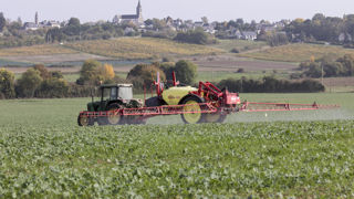 La propyzamide, molécule herbicide racinaire, est intéressante pour limiter la pression de sélection des graminées résistantes aux herbicides foliaires comme les sulfonylurées. La propyzamide, molécule herbicide racinaire, est intéressante pour limiter la pression de sélection des graminées résistantes aux herbicides foliaires comme les sulfonylurées.