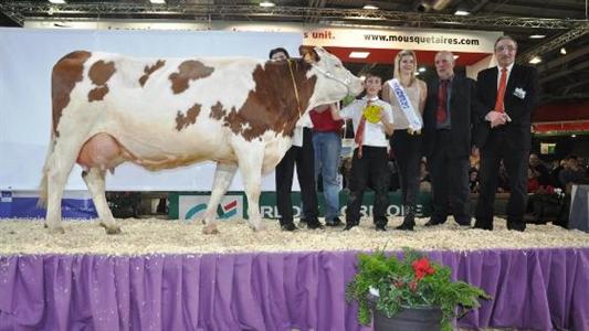 Uvéa Montbéliarde Salon de l'agriculture 2013