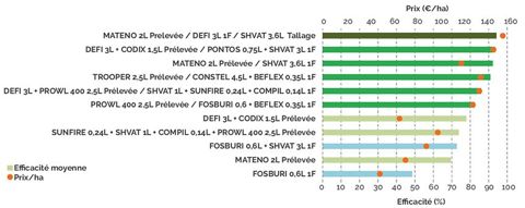 Relation efficacité - coût des applications (6 essais ray-grass 2024)