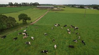 Le gouvernement soutiendra une proposition de loi visant à assouplir le cadre réglementaire du « zéro artificialisation nette des sols » (Zan). Le gouvernement soutiendra une proposition de loi visant à assouplir le cadre réglementaire du « zéro artificialisation nette des sols » (Zan).