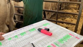 L'arrivée du Single Step va provoquer un petit chamboulement dans l'indexation des vaches allaitantes du fait de l'utilisation d'une nouvelle méthodologie. L'arrivée du Single Step va provoquer un petit chamboulement dans l'indexation des vaches allaitantes du fait de l'utilisation d'une nouvelle méthodologie.