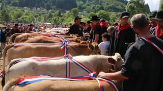 Une fête annuelle se déroule dans la zone AOP chaque premier week-end de juin. Rendez-vous le 8 juin 2025 au Cros-de-Géorand,, en Ardèche. Une fête annuelle se déroule dans la zone AOP chaque premier week-end de juin. Rendez-vous le 8 juin 2025 au Cros-de-Géorand,, en Ardèche.