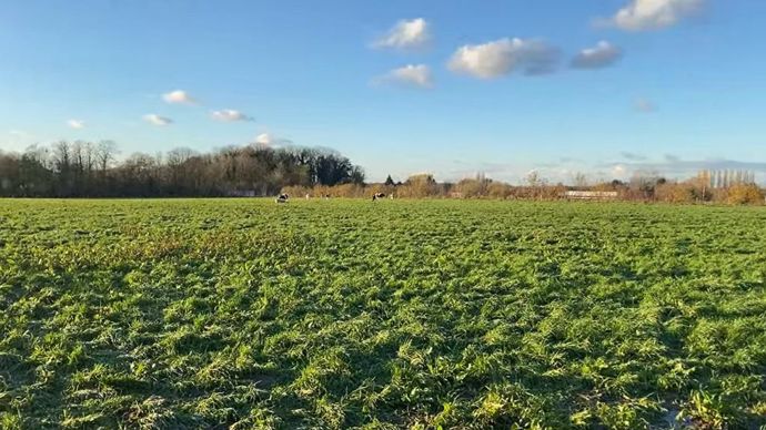 Le plan d'assouplissement vise à accompagner la baisse du cheptel français. Le plan d'assouplissement vise à accompagner la baisse du cheptel français.