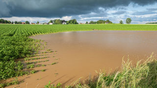 L'état de catastrophe naturelle est reconnu pour des communes ayant connu des inondations, coulées de boue et mouvements de terrain liés aux précipitations. L'état de catastrophe naturelle est reconnu pour des communes ayant connu des inondations, coulées de boue et mouvements de terrain liés aux précipitations.