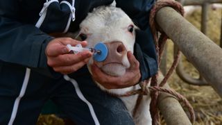 Infections respiratoires : la vaccination, facteur de durabilité