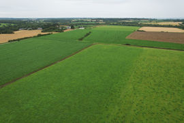 Selon la jurisprudence, chacun des des membres d'une indivision peut prétendre au droit de reprise des terres.