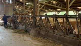 Anticiper la transmission, et surveiller le ratio actifs investis sur EBE généré est un bon moyen d'anticiper la reprenabilité de sa ferme. Anticiper la transmission, et surveiller le ratio actifs investis sur EBE généré est un bon moyen d'anticiper la reprenabilité de sa ferme.