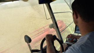 Entre 2024 et 2015, la productivité agricole par unité de main-d'oeuvre a augmenté de 37,2 %, souligne Eurostat.