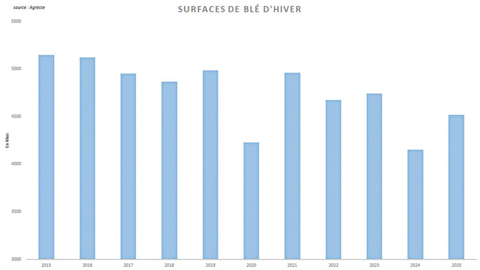 Les surfaces de blé d'hiver restent basses par rapport aux précédentes campagnes. Les surfaces de blé d'hiver restent basses par rapport aux précédentes campagnes.