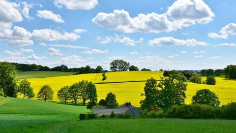 Lisez-vous le Bulletin de santé du végétal de votre région ? N'hésitez pas à partager votre avis.