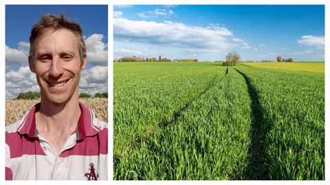Le choix variétal reste le principal levier d'une stratégie fongicides en céréales à paille optimisée. Le choix variétal reste le principal levier d'une stratégie fongicides en céréales à paille optimisée.