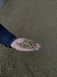 copruits alimentation pour vaches laitières