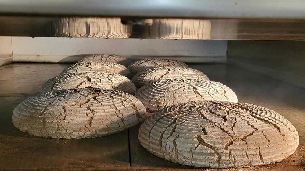 La tradition allemande est celle d’une panification au levain pur seigle, qui exige une grande rigueur dans la maîtrise des fermentations.
