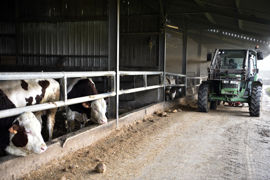 Le preneur qui a, par son travail ou par ses investissements, apporté des améliorations au fonds loué a droit, à l’expiration du bail, à une indemnité.